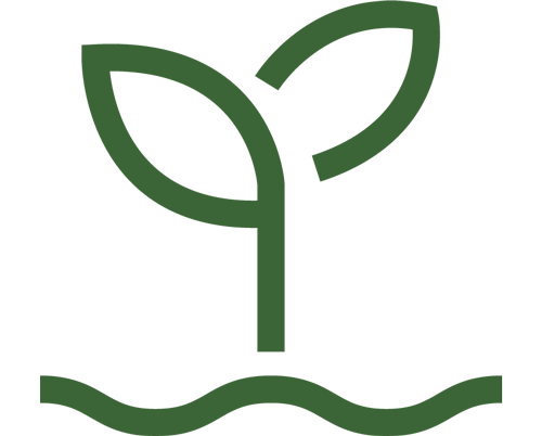 Gestión Agronómica Gestión Agronómica